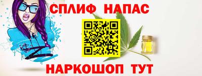 крисы Краснознаменск